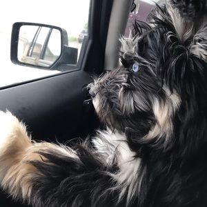 Meet your Posher, Britney